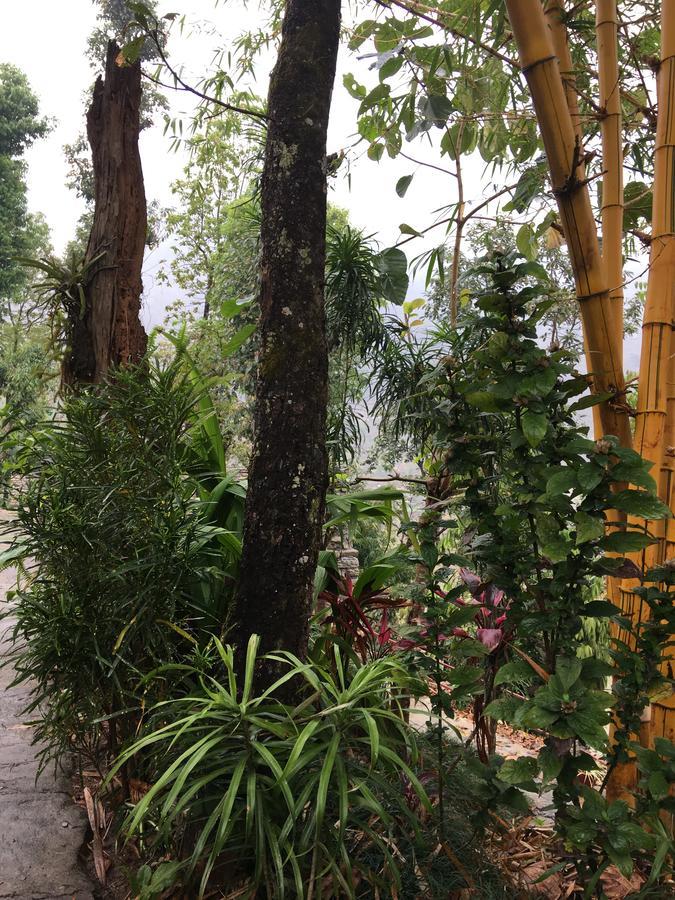 Hidden Paradise Guest House Pokhara Exterior foto