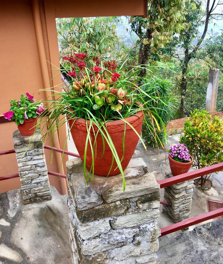 Hidden Paradise Guest House Pokhara Exterior foto